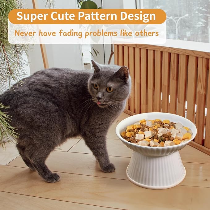 Upgraded 6.5" Extra Wide Ceramic Elevated Cat Bowl, Whisker Friendly Raised Cat Food Bowl for Food and Water, Anti-Vomiting High Cat Dish for Indoor Cats, Dishwasher Safe & Microwaveable