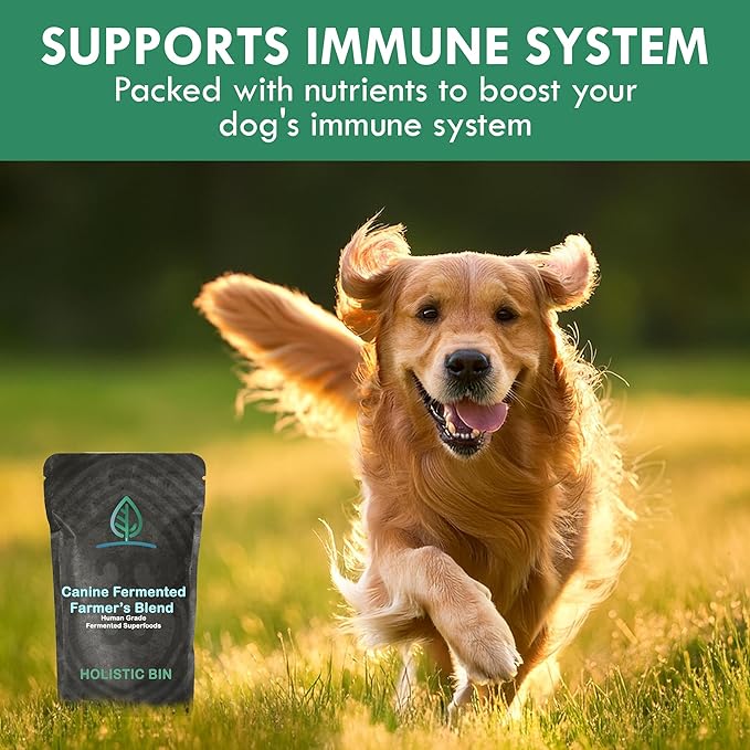 Holistic Bin Canine Fermented Farmer's Blend | Nutrient-Rich Dog Food Toppers | Plant-Based Supplements for Pets Gut Flora | Pumpkin, Spinach, Fruit and Vegetables Powder Mix | Fermented Blend (50g)