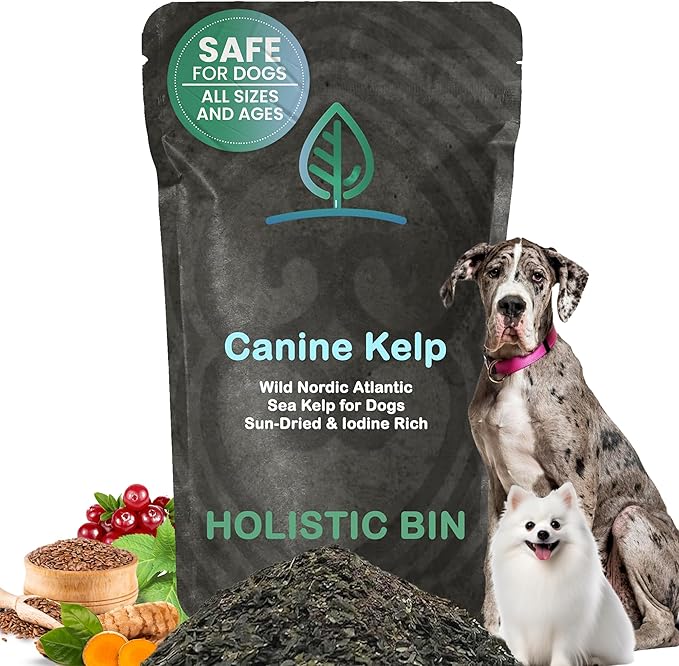 Holistic Bin Canine Atlantic Sea Kelp Dog Food Toppers | Supplement Powder with Iodine and Minerals | Pet Essentials | For Shiny Coat and Skin Wellness | Gut Flora & Oral Freshness | Canine Kelp (50g)