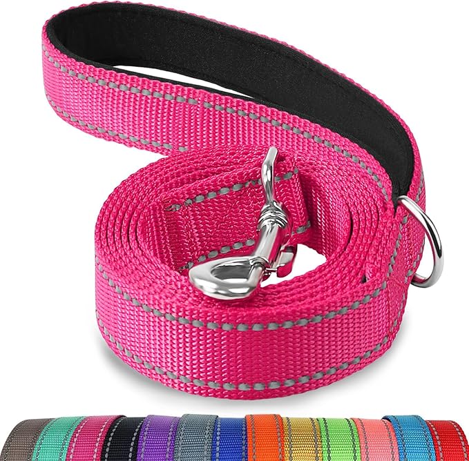 Joytale Dog Leash, 4 FT Double-Sided Reflective, Padded Handle Nylon Heavy Duty Leashes for Medium & Large Dogs Walking, Hotpink