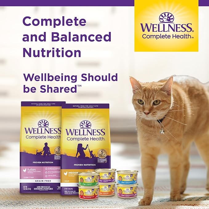 Wellness Complete Health Pate Kitten Wet Cat Food, Natural, Protein-Rich, Grain-Free, 3 Ounce, 24 Pack, (Whitefish & Tuna)