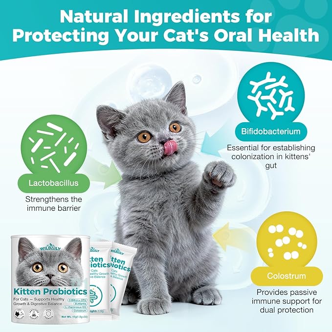 Cat Probiotics Gut – Constipation Relief – Supports Immunity, Regularity, & Healthy Digestion, 30-Day Supply (Kitten Formula)
