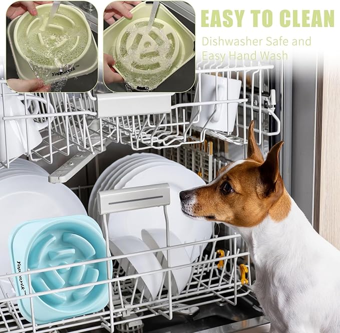 2 Pack Slow Feeder Dog Bowls for Healthy Eating, Non-Slip and Anti-Choking Design, Reduces Bloating & Overeating for Medium Dogs and Cats, Easy to Clean