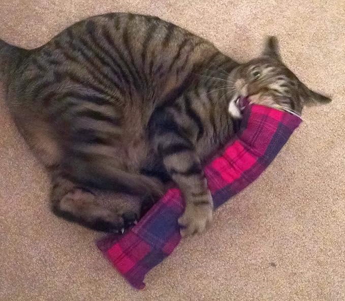 Refillable 15" Catnip Cat Kicker Toy Filled with 1 oz Canadian Catnip, Red Flannel