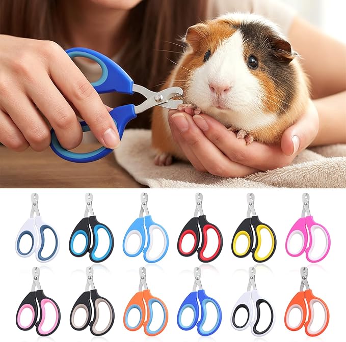 24 Pcs Cat Nail Clipper Bulk Kitten Claw Trimmer Pet Nail Cutter Claw Care for Cattery Cat Breeders Groomers Nonprofit Organization and Charity