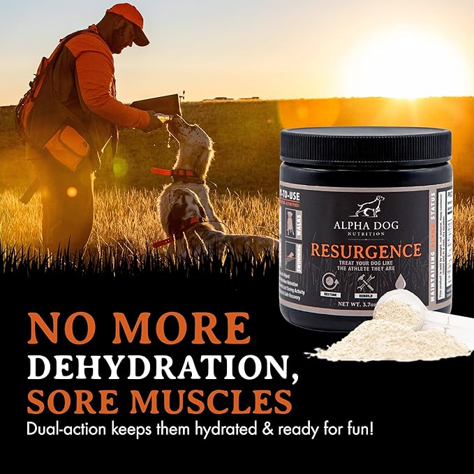 Alpha Dog Nutrition Electrolytes for Dogs - PhD Formulated Hydration Supplement with Beef Flavor for Active Canines - Versatile Powder for Dehydration Recovery and Stamina
