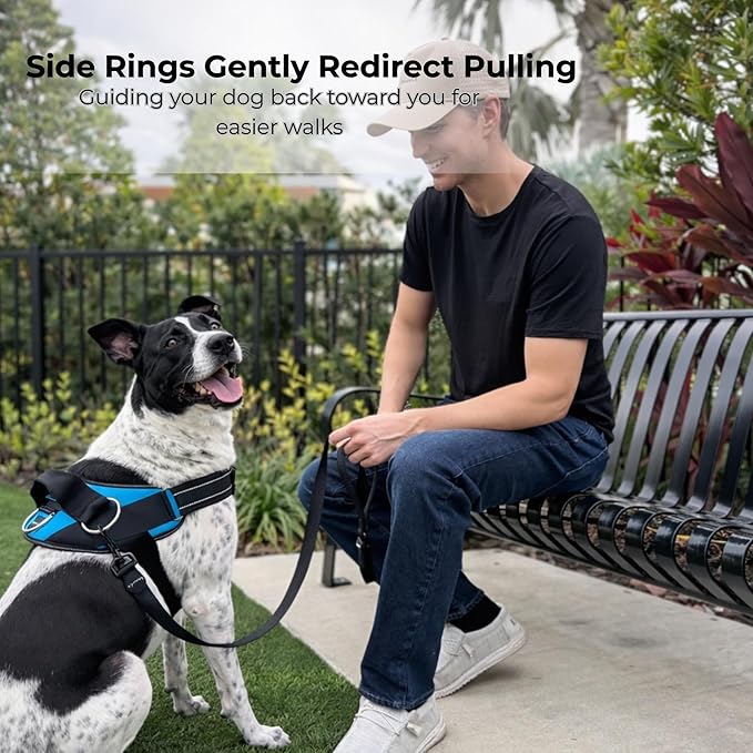 ShawnCo Essential Dog Harness, No-Pull Pet Vest with 3 Leash Clips, No Choke, Reflective, Adjustable and Padded, for Easy Walking and Training for Small, Medium and Large Dogs (Pacific Blue, S)