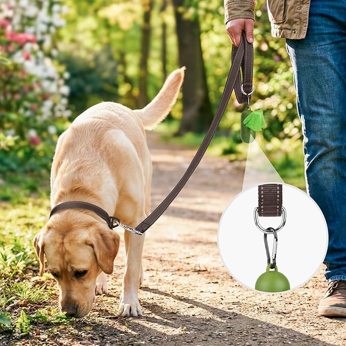 Joytale Double-Sided Reflective Dog Leash, 4 FT, Padded Handle Nylon Heavy Duty Leashes for Medium & Large Dogs Walking, Brown