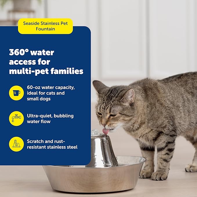 PetSafe Seaside Stainless Pet Fountain - Encourages Hydration - Dual Filtration Removes Odors - Compact Design - Rust Resistant Material - Quiet Motor -