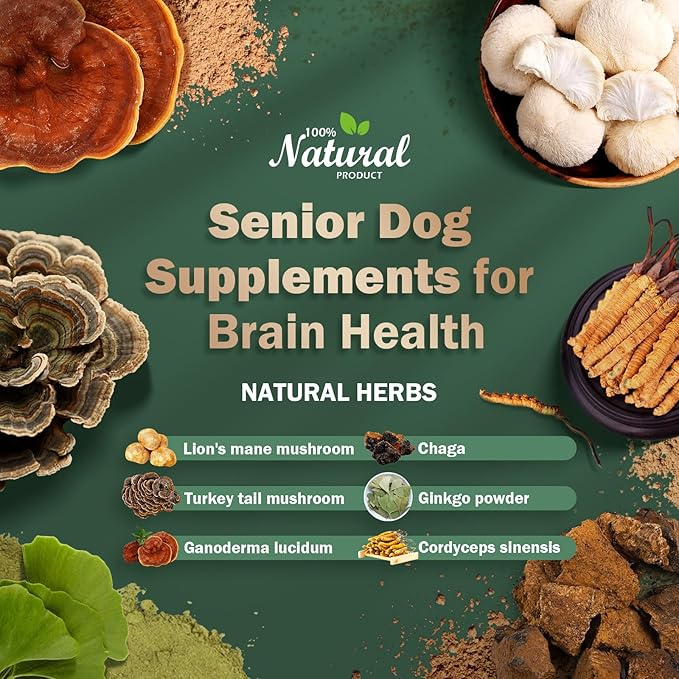Senior Dog Supplements for Brain Health & Nervous System Support, Mushroom Supplement for Dogs, Dementia Supplement for Calming & Relaxation, Addresses Getting Lost, Social Withdrawal - 59 ML