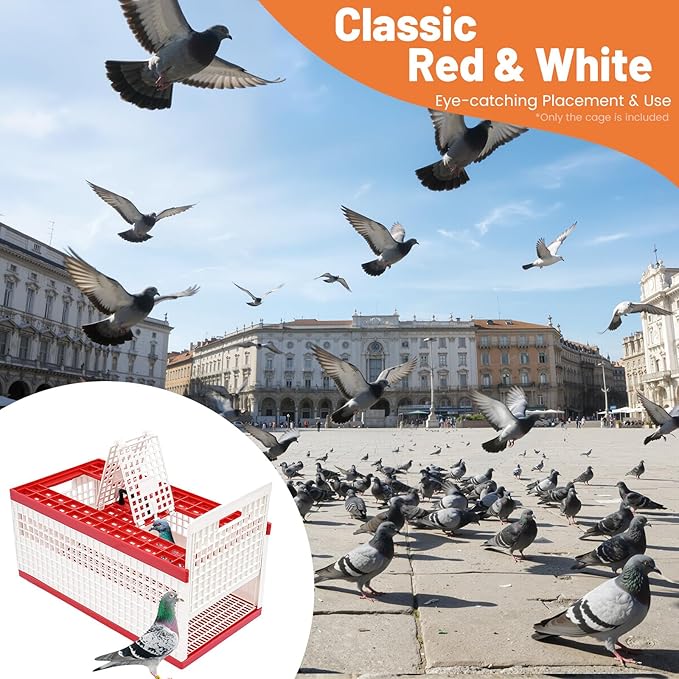 Plastic Foldable Pigeon Carrier Cage, Racing Pigeon Carrier Box with Handle 23.6"X12.2"X10.2" Portable Bird Travel Carriers Cage Bird Training Basket with 2 Side Doors and 2 Top Department