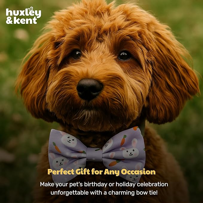 Huxley & Kent Pet Bow Tie for Dogs & Cats - Spring Easter Adjustable Hook & Loop Collar Accessory - Cute & Comfortable for Holidays & Celebrations - Funny Bunny, Small