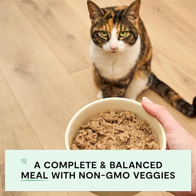 Open Farm Canned Cat Food, Pate for Complete & Balanced Nutrition, Grain Free and Legume-Free Wet Cat Food, Harvest Chicken Recipe, 5.3oz Cans (Case of 12)