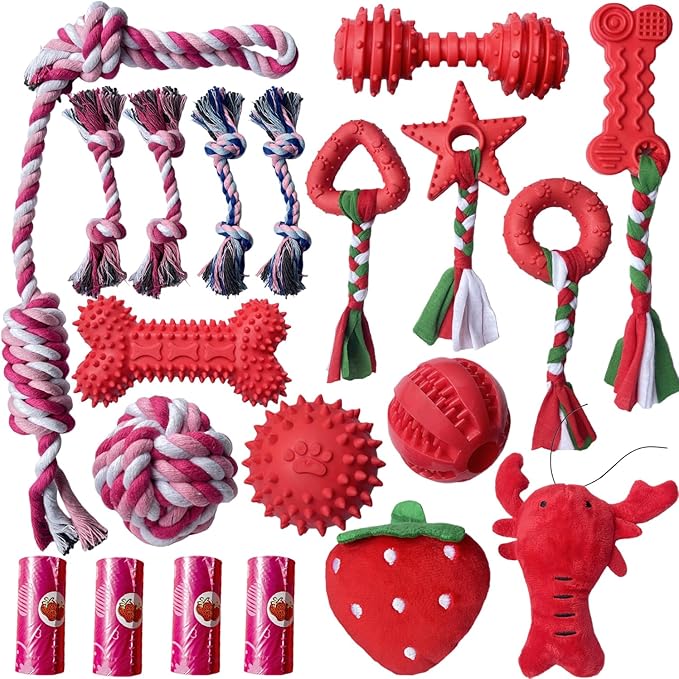 20 Pack Dog Chew Toys for Puppy, Small Dog Toys with Ropes, Treat Ball and Squeaky Plush Toys for Puppy Teething, Rubber Chew Toys