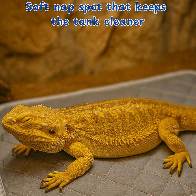 Bearded Dragon Diaper Accessories with Reusable Pad, Adjustable Wearable for Short Handling and Travel, Bearded Dragon Accessories, Reptile Travel Carrier Essentials (Grey)