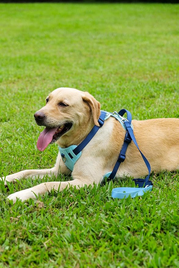 3 in 1 No Pull Dog Harness Leash and Collar Set, Soft Adjustable Dogs Vest Reflective and Comfortable Handle Blue Small