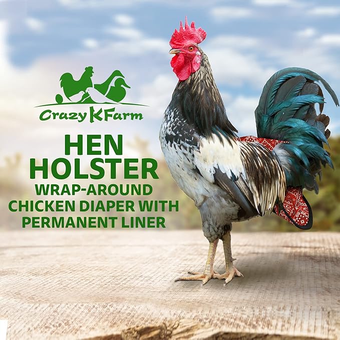 Hen Holster Premium Starter Kit - Bird Diaper, Wrap Around for Hens, Roosters, Ducks - Leak-Proof, Comfortable Bird Harness with Sewn-in Liner, Secure Hook & Loop Closure - S/M, Red Bandana