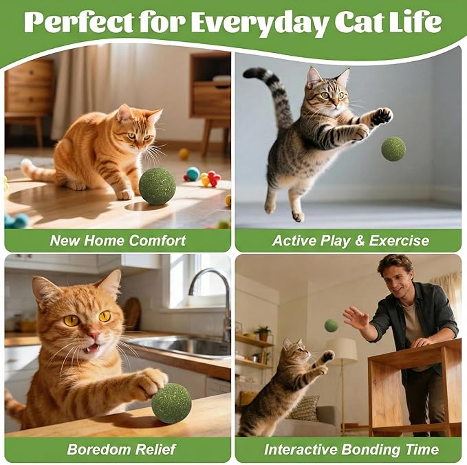 Natural Catnip Balls for Cats – 2 Pack Compressed Catnip Toys for Indoor Cats, 100% Natural No Fillers, Long-Lasting Mess-Free Interactive Cat Toy for Stress Relief & Healthy Play