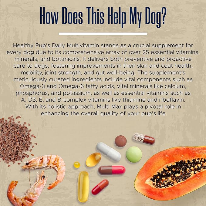 Dog Multivitamin Supplement - 120 Soft Chew Dog Vitamins and Supplements with Omega, Probiotics, Glucosamine, and More - for Small, Large, and Senior Dogs