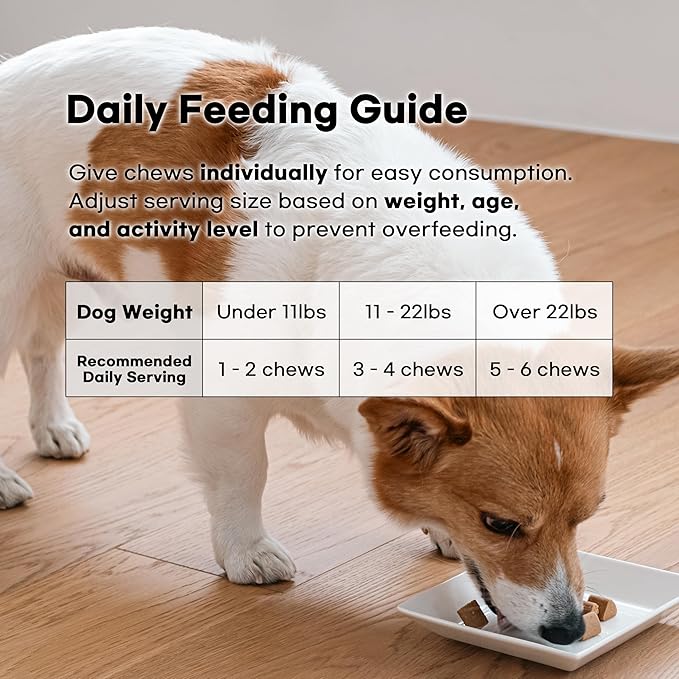 [PororoPet] NutriHome Multi Care for Dogs | Supports Joint, Eye, Liver & Daily Wellness | Milk Thistle, Curcumin, Green Lipped Mussel | 10.58oz (300g), Made in Korea