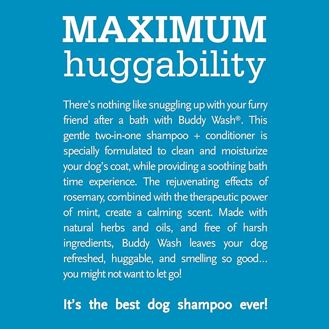Buddy Biscuits Wash Dog Shampoo & Conditioner for Dogs with Botanical Extracts and Aloe Vera, 16 ounce Bottle (15222)