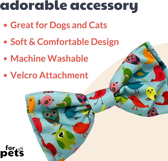 Huxley & Kent Pet Bow Tie for Dogs & Cats - Spring Theme Adjustable Hook & Loop Collar Accessory - Cute & Comfortable for Holidays & Celebrations - Yard Birds, Extra-Large