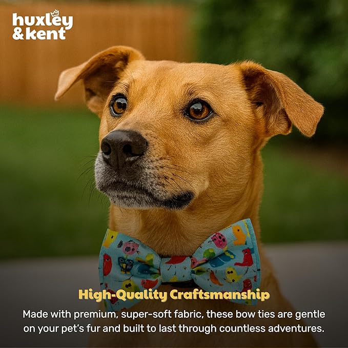 Huxley & Kent Pet Bow Tie for Dogs & Cats - Summer Theme Adjustable Hook & Loop Collar Accessory - Cute & Comfortable for Holidays & Celebrations - Yard Birds, Large