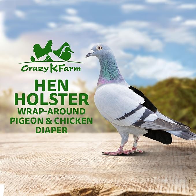 Hen Holster Premium Starter Kit - Bird Diaper, Wrap Around for Larger Pigeons, Small Breed Hens & Roosters - Leak-Proof, Comfortable Bird Harness with Sewn-in Liner & Hook & Loop Closure - XS, Black