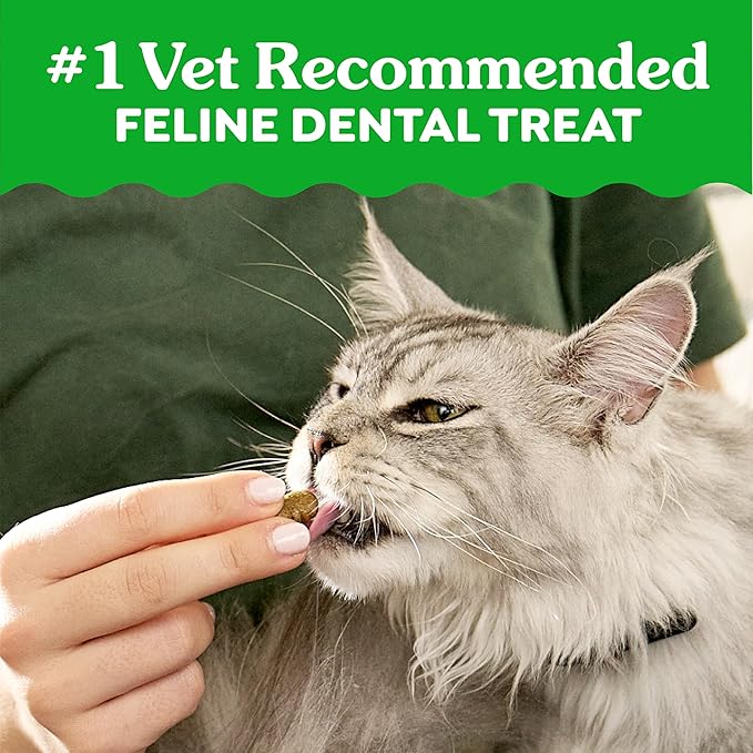 Greenies Cat Treats, Feline Veterinarian-Recommended Adult Natural Dental Cat Treats, Savory Salmon Flavor, 21 oz. Tub