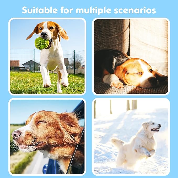 2-in-1 GPS Tracker for Dogs&Cats : Smart Collar with Real-Time Location, No Monthly Fee, Unlimited Range (iOS Only) GPS Tracker Dog Collar- Ideal for Small, Medium Large Dogs(Tracker Included)(Green)