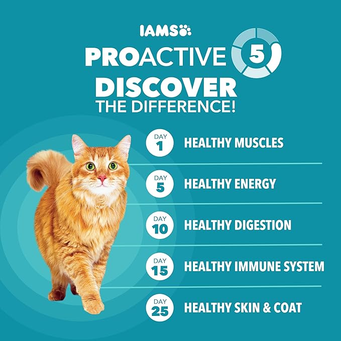 IAMS Proactive Health Indoor Weight Control & Hairball Care Adult Dry Cat Food, Salmon Recipe, 7 lb. Bag