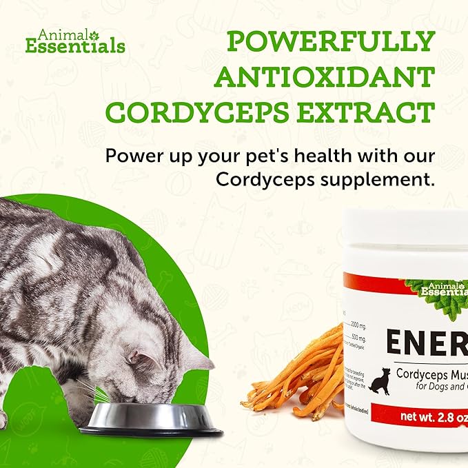Animal Essentials ENERGY Cordyceps Mushroom Supplement for Dogs & Cats - Support Stamina & Endurance, Healthy Respiratory & Kidney Functions, Antioxidant, Mushroom Powder Extract - 2.8 Oz (Pack of 1)