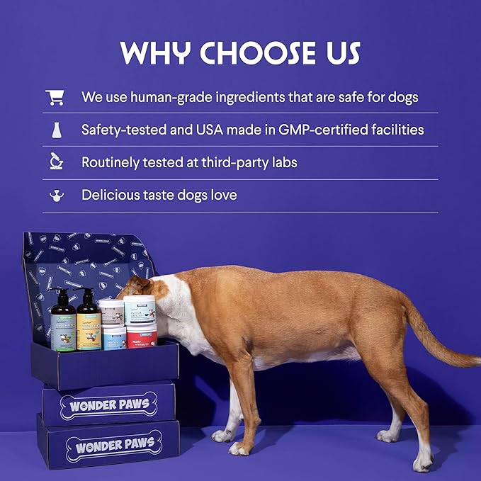 Wonder Paws Milk Thistle, Liver Support for Dogs, Supports Kidney Function for Pets, Detox, Hepatic Support, with Wild Alaskan Salmon Oil & Curcumin, Omega 3 EPA & DHA (2 Oz)