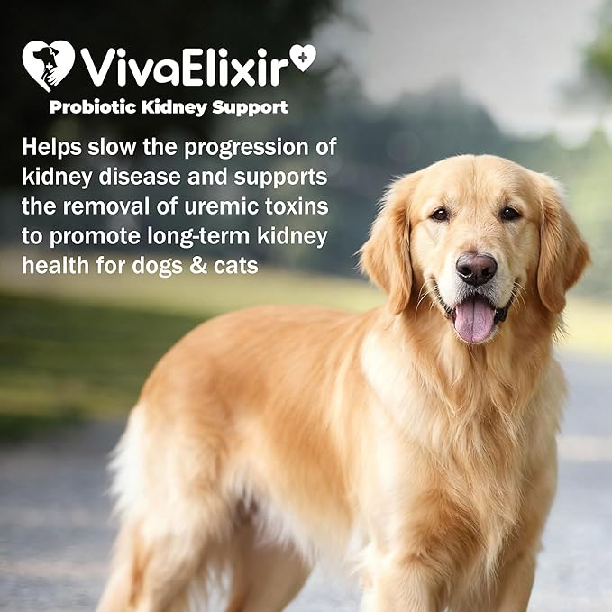 Kidney Health Supplement for Dogs & Cats | Probiotic Pet Wellbeing | Kidney Supplement | Help Support Kidney Function & Manage Renal Toxins | Renal Care Supplement Capsule 120ct