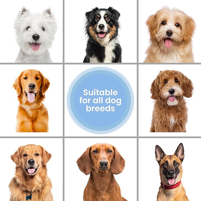 Whitening Dog Shampoo | Made in USA | Brightening Dogs Fur | White & Bright Hair | Removes Stains & Discoloration [We Love Doodles]