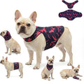 DAJIDALI® Dog & Cat Anxiety Vest & Spay Recovery Suit – Silent Calming Wrap for Surgery, Thunderstorms – Breathable Cone Alternative