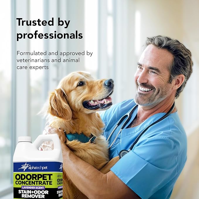OdorPet Pet Stain Remover and Odor Eliminator - 64 Oz (Makes 2.55 Gallons of Working Solution) Non Staining, Professional Strength, Lavender Scent by Alpha Tech Pet