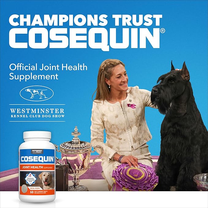 Nutramax Cosequin Single Strength Joint Health Supplement for Pets, 132 Count
