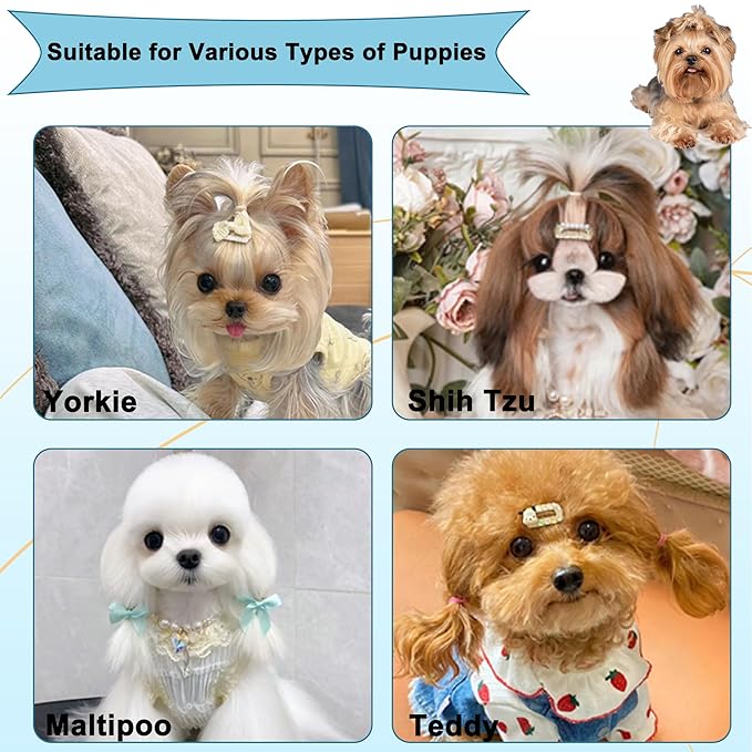 Gentle Grooming Puppy Brush with Gift Box ， Fit for Small Dog ， Yorkie, Shih Tzu, Maltipoo, Maltese and Pomeranian ，Toy Poodle Accessories, Soft Bristle (Glitter Blue)