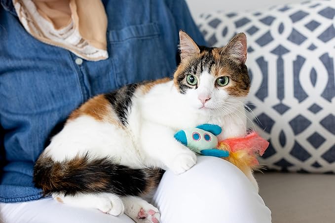 Pearhead Pawstronaut Cat Toy Set, Feather Teaser and Rattle Catnip Toy Set, Must Have Pet Accessories