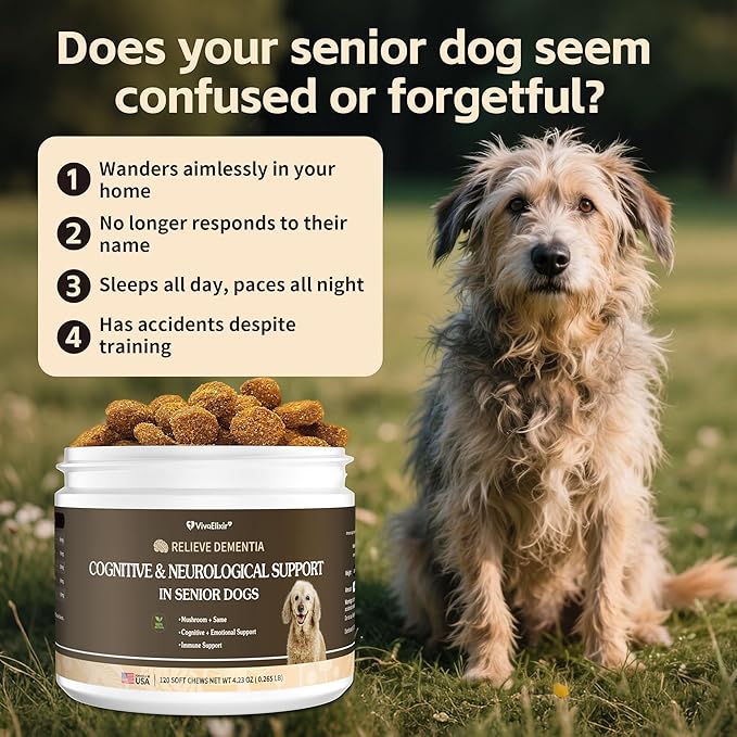 Lion's Mane Mushrooms for Dogs - Dementia Support – Supports Healthy Brains and Nervous Systems - Same, Turkey Tail, Lion's Mane, Reishi, Cordyceps, Supplement for Senior Dogs – 120 Tablets