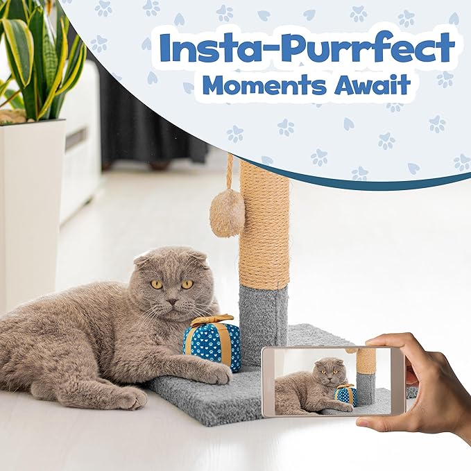 Gift Box Catnip Toy – Birthday Cat Toy with Catnip & Crinkle, Cute Plush Present for Indoor Cats, Birthday & Valentines Day Cat Gift
