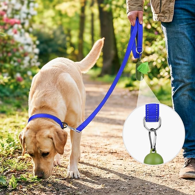Joytale Dog Leash, 5 FT Double-Sided Reflective, Padded Handle Nylon Heavy Duty Leashes for Small Dogs Walking, Navy Blue