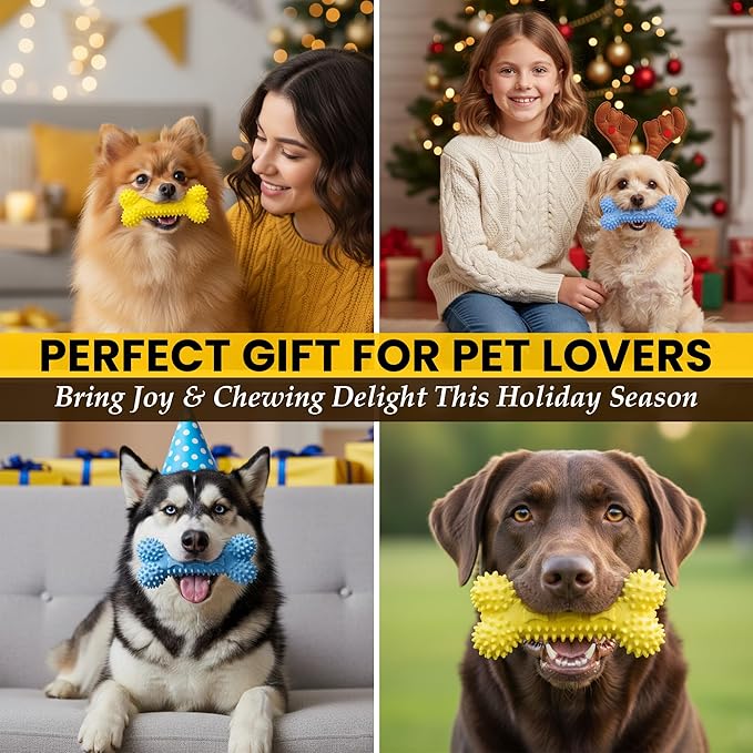 Chewzzle™ Dog Chew Toys for Small Dogs & Puppies | Soft TPR Textured Bones for Light to Moderate Chewers | 3-Pack Vibrant Colours, Safe & Engaging Design