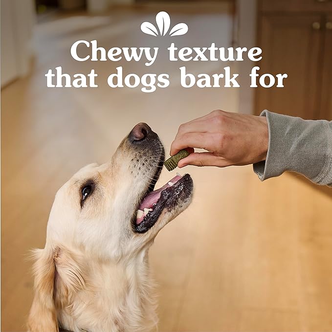 Greenies Anytime Bites Dog Treats, Original Flavor, Dog Training Treats, 10.3 oz. Bag