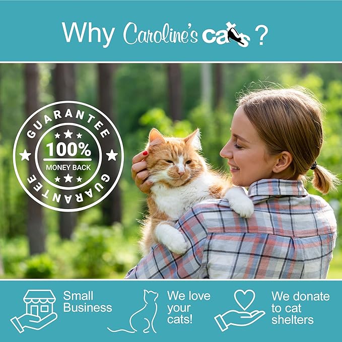 Caroline's Cats Organic Catnip Packets for Cat Toys – Refill Pouches for Flapping Bird, Flopping Fish, and More, 10 Tea Bags