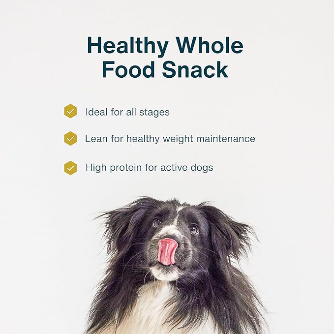Just Food for Dogs Single Ingredient Healthy Dog Treats and Dog Snacks, Jerky Treats, Human Grade, Preservative and Grain Free, Rawhide Free Chews, Low Calorie Treat - Chicken Breast, 5 oz