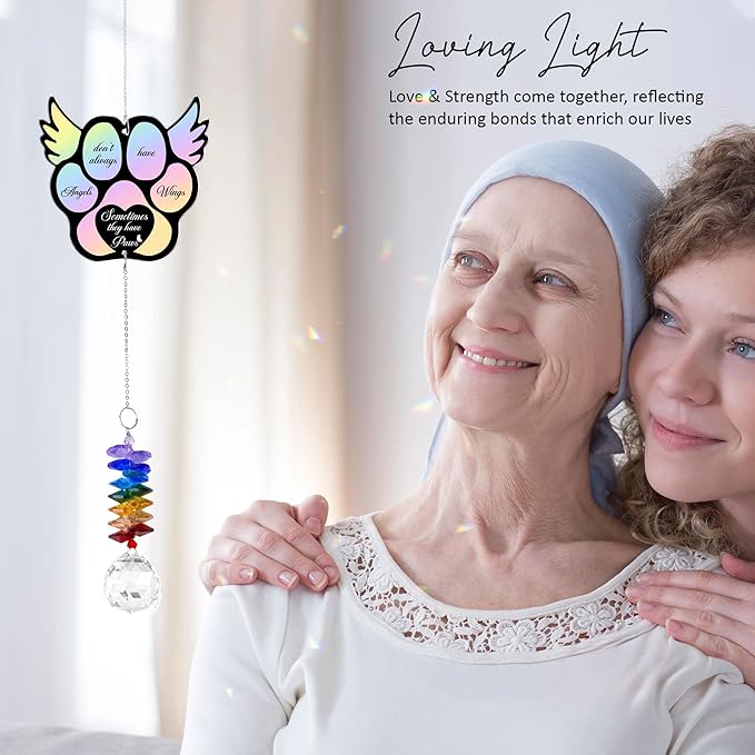 Aluminum Ornament Suncatcher - Angels Don't Always Have Wings - Pet Memorial Ornaments Pets Sympathy Remembrance Gifts for Loss of Dogs Cats - Crystal Rainbow Maker