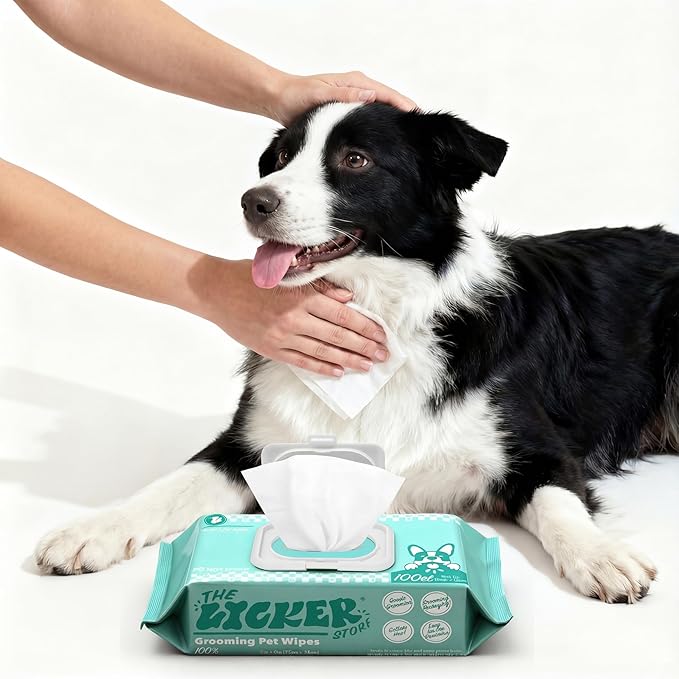 PWP1001A-4SET Biodegradable Dog Wipes for Grooming Paws and Body, Hypoallergenic Pet Wipes with Aloe Vera, Chamomile & Coconut Oil, Gentle Cleansing and Deodorizing, 400 Count