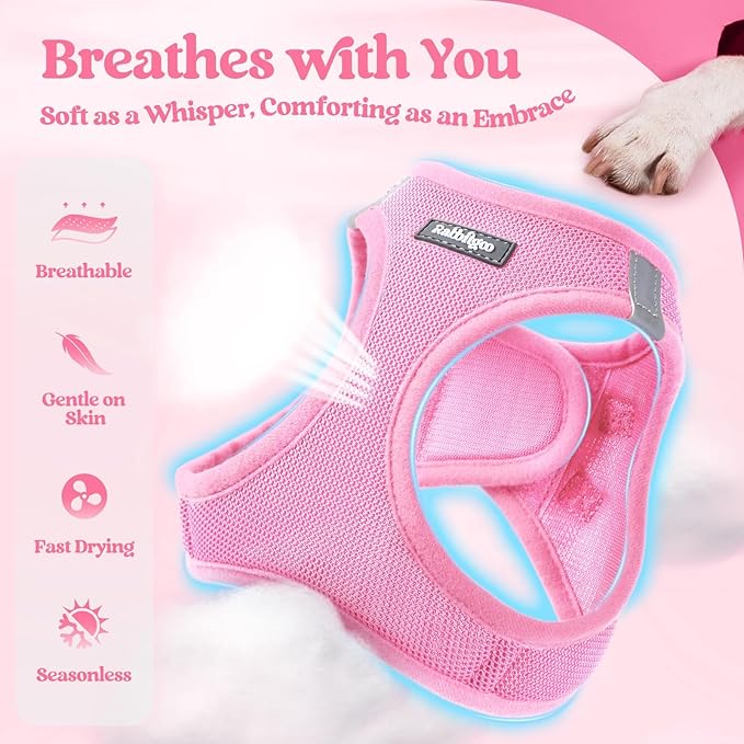 rabbitgoo Dog Harness Small Sized and Leash Set, Step in Soft Light Puppy Vest, Breathable Mesh Pet Harness, Reflective for Safe Easy Walking, Light Pink XXS